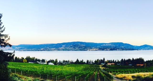 Bed and Breakfast Summerhill Estate House Kelowna Exterior foto